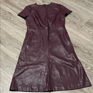Ann Taylor Faux Leather Dress
